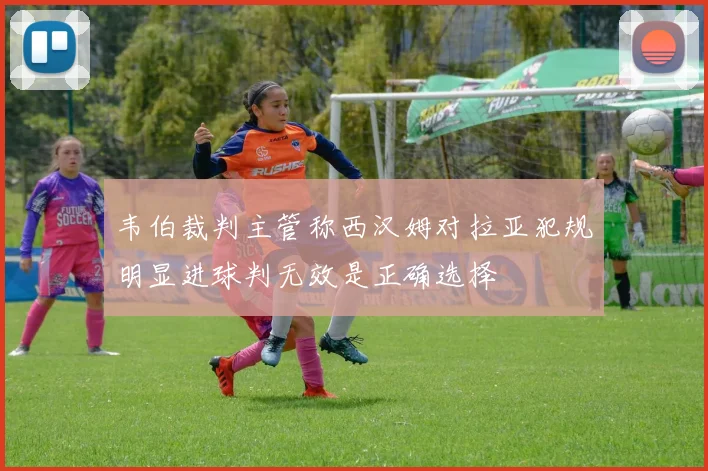韦伯裁判主管称西汉姆对拉亚犯规明显进球判无效是正确选择