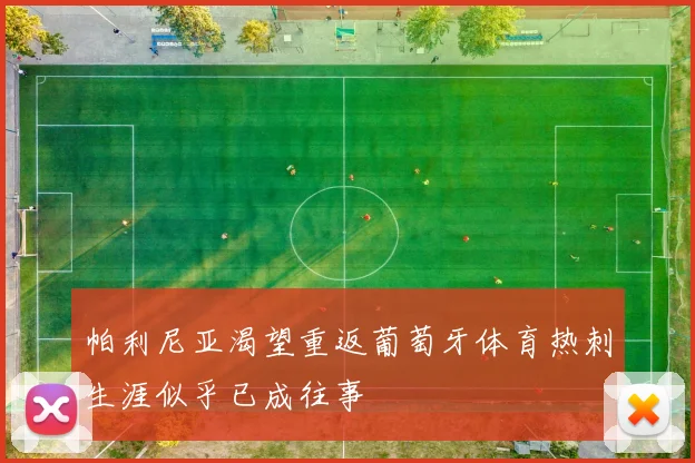 帕利尼亚渴望重返葡萄牙体育热刺生涯似乎已成往事